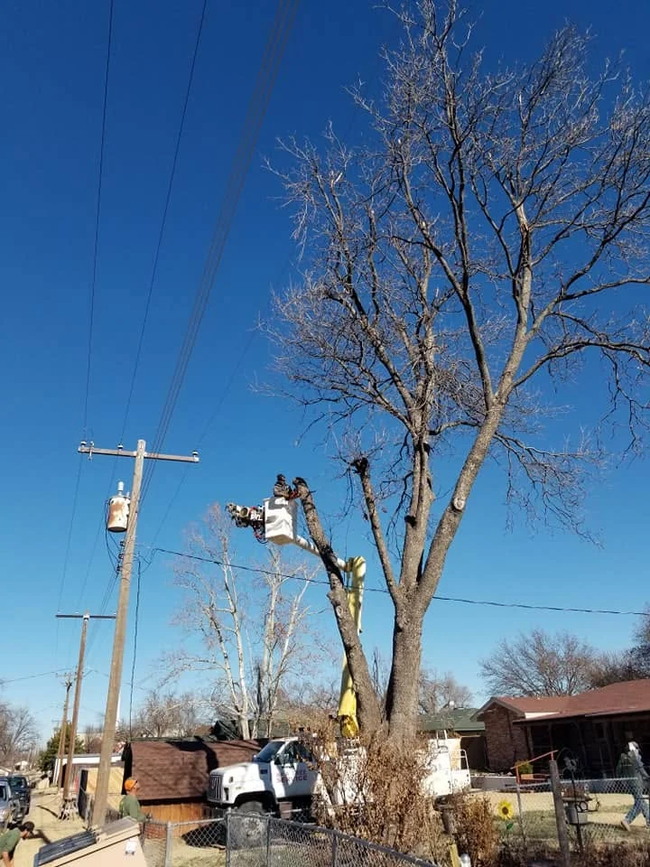 Working safely above the property