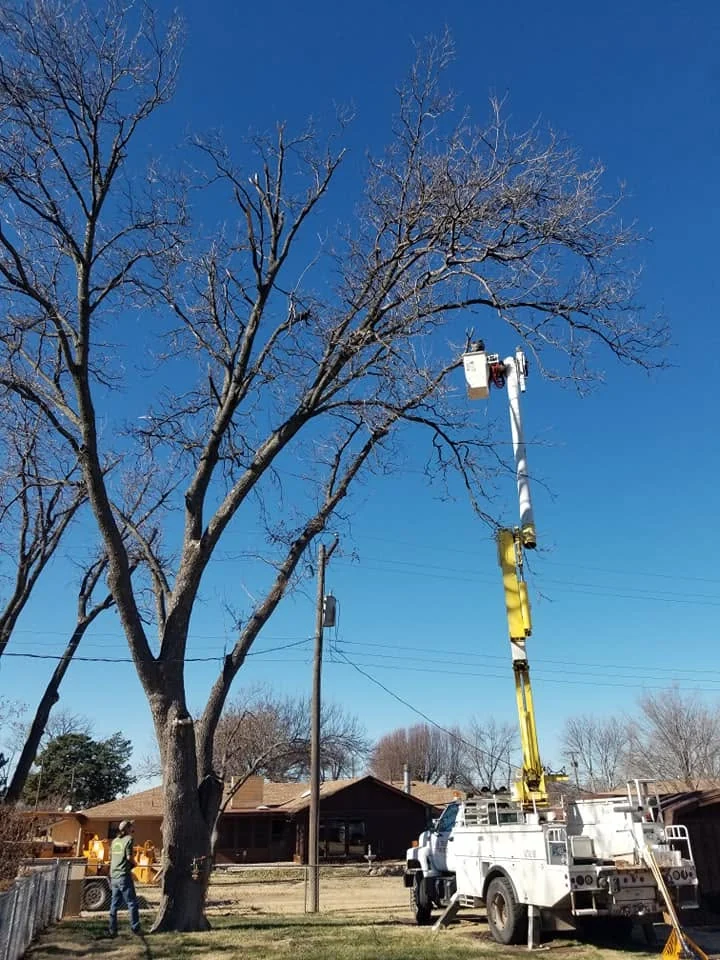 A planned piece-by-piece removal