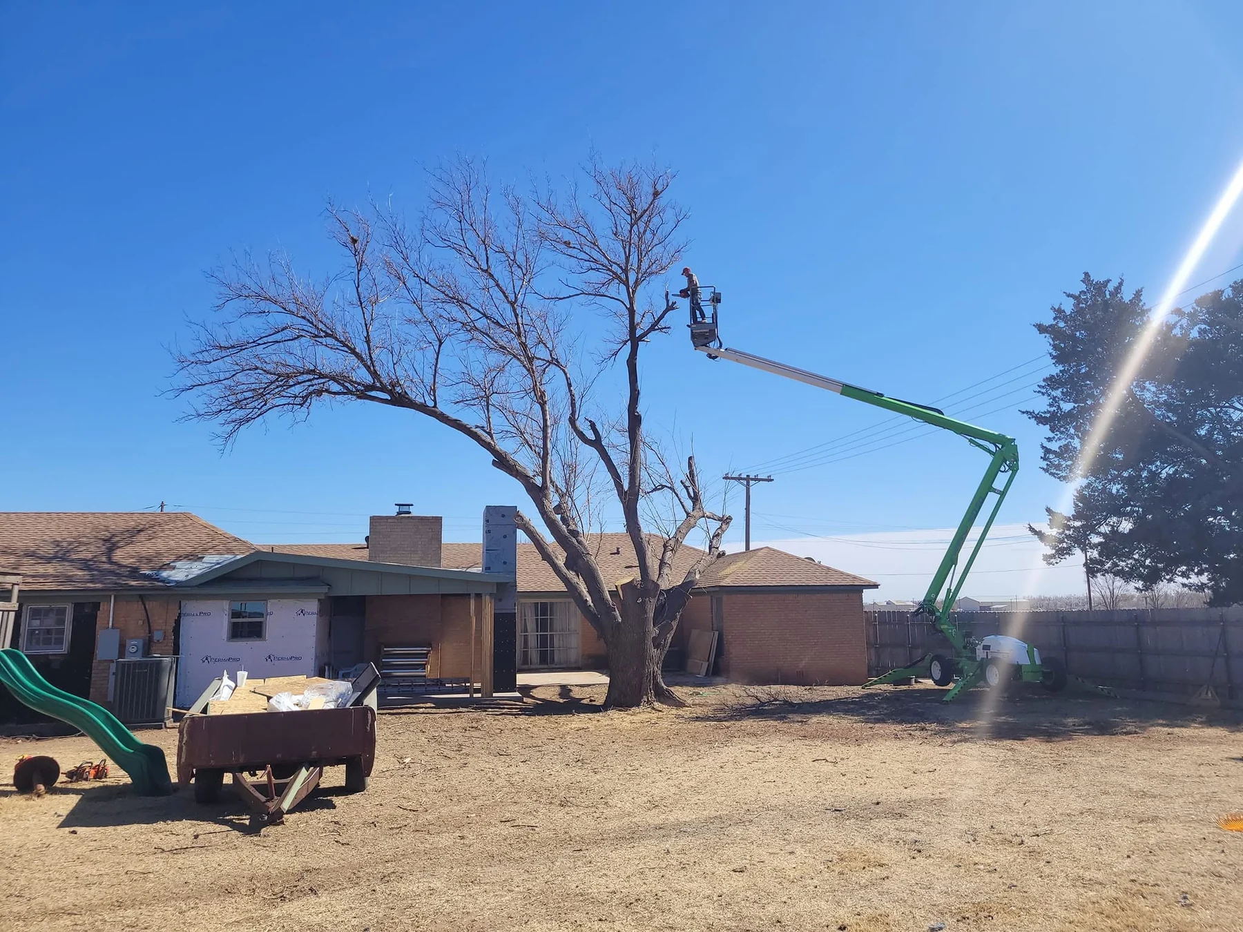 A difficult tree handled