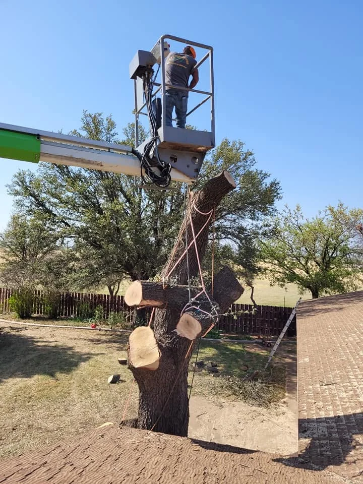 Working safely above the property